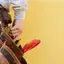 Handyman repair service in Savannah, GA for home fixes and improvements