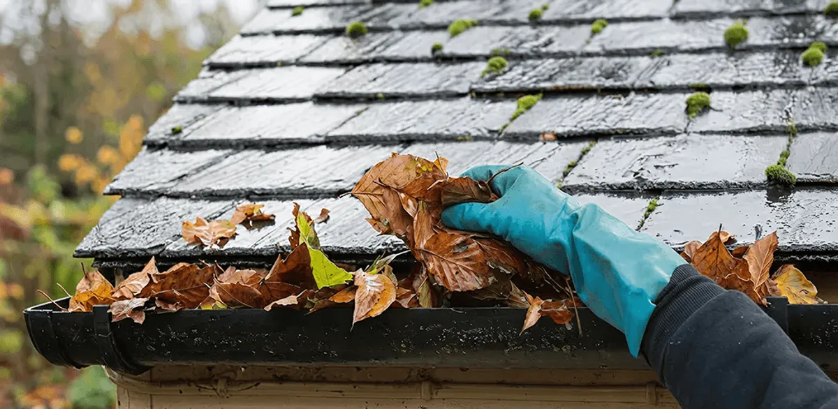 Gutter cleaning technician clearing wet leaves from roof gutters in Savannah, GA