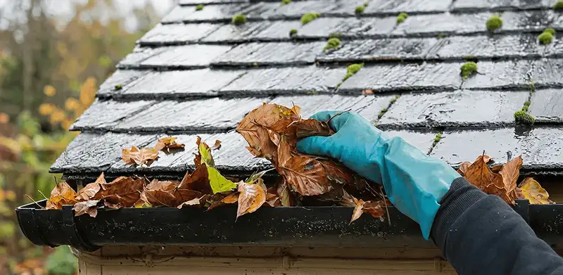 Gutter cleaning technician clearing wet leaves from roof gutters in Savannah, GA